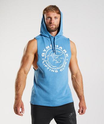 Pánské Mikiny S Kapucí Gymshark Legacy Drop Arm Blankyt | CZ 2696DFM